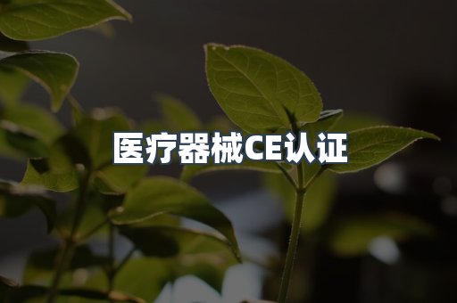 医疗器械CE认证